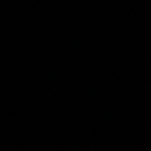 Meet your Posher, Taleshianna